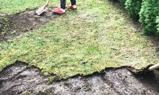 Снятие дерна старого газона в Ялте – от 526 руб. | ООО "ГОСТСТРОЙ"